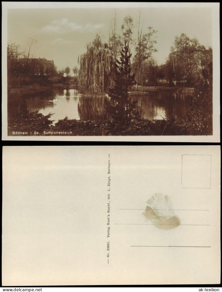 Ansichtskarte Geithain Sachsen Schwanenteich 1931