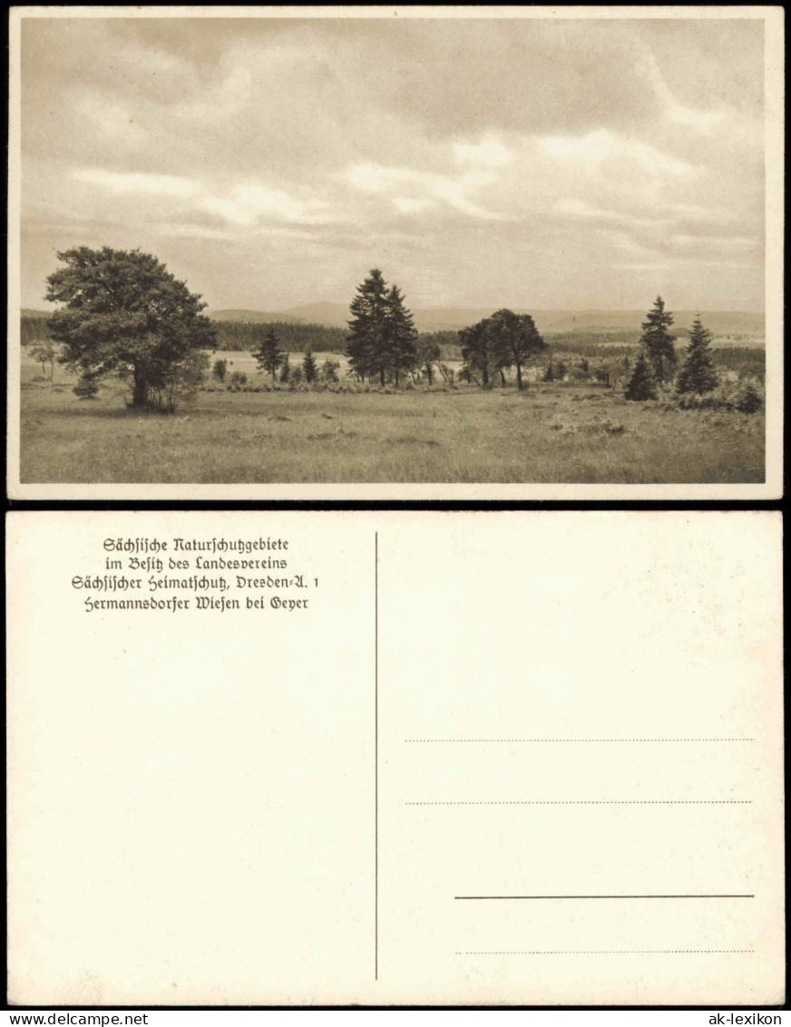 Ansichtskarte Geyer Umland-Ansicht Hermannsdorfer Wiesen bei Geyer 1920