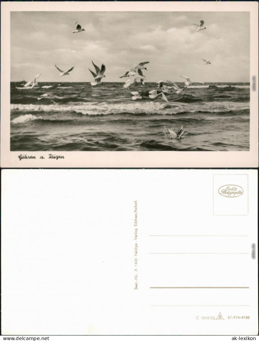 Ansichtskarte Göhren (Rügen) Ostsee, Wellen, Möwen 1953