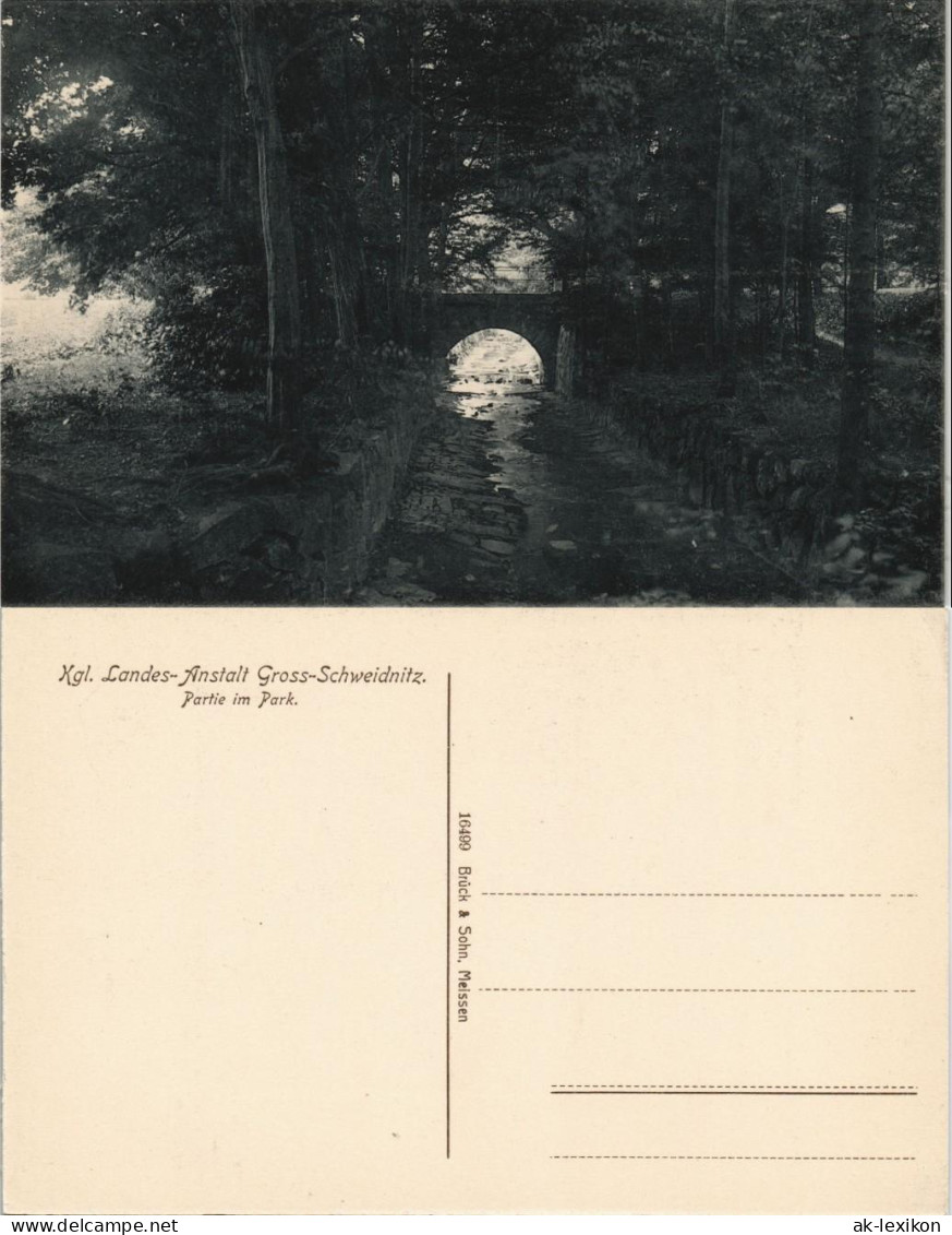 Ansichtskarte Großschweidnitz (OL) Swóca Partie im Park 1912