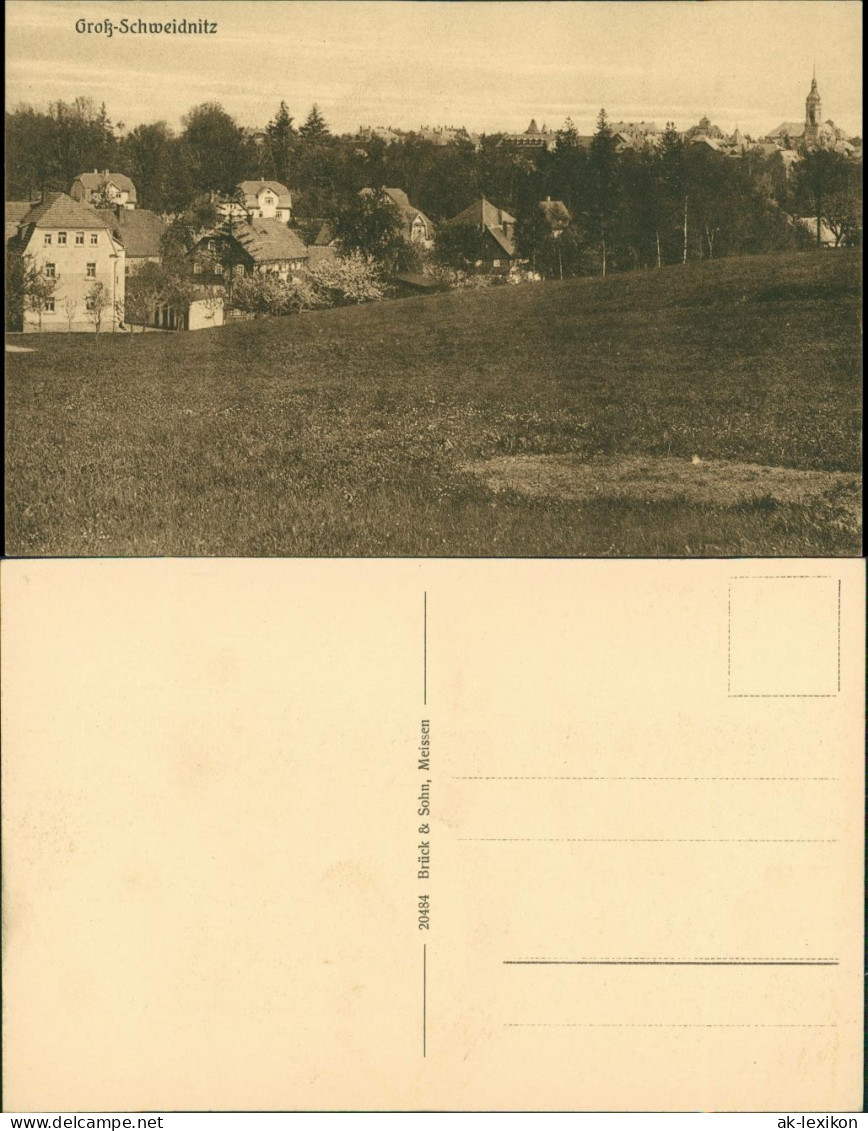 Ansichtskarte Großschweidnitz (OL) Swóca Stadtpartie 1922