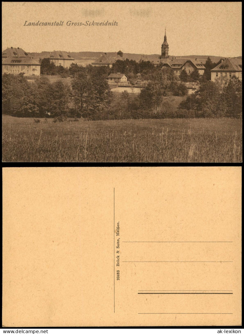 Ansichtskarte Großschweidnitz (OL) Swóńca Blick auf die Landesanstalt 1917
