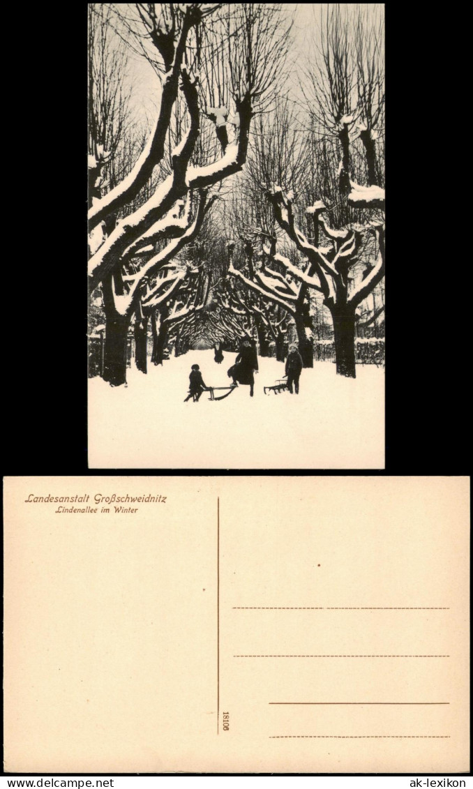 Ansichtskarte Großschweidnitz (OL) Swóńca Lindenallee im Winter 1914