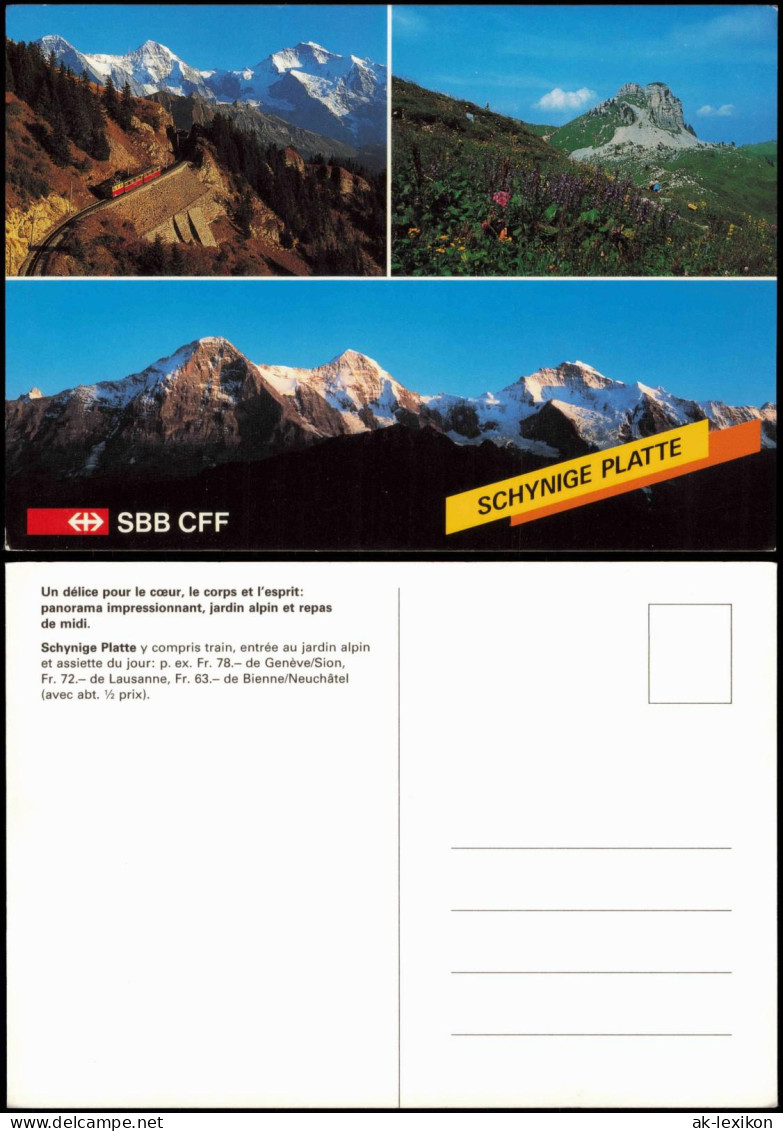 Ansichtskarte Gsteigwiler Mehrbildkarte Schynige Platte 1980
