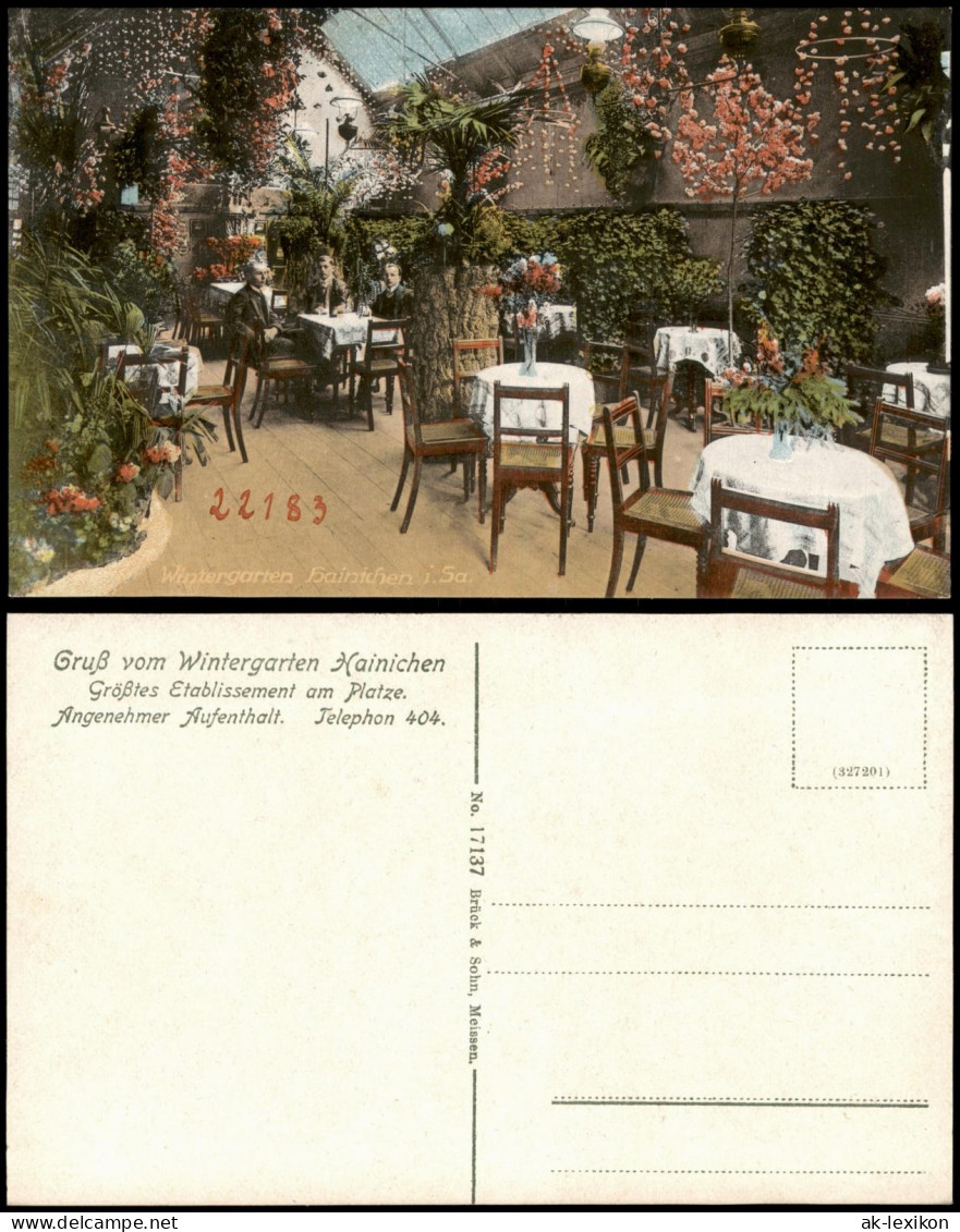 Ansichtskarte Hainichen Wintergarten - Innenansicht 1914