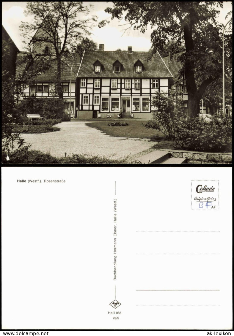 Ansichtskarte Halle (Westfalen) Rosenstraße 1975
