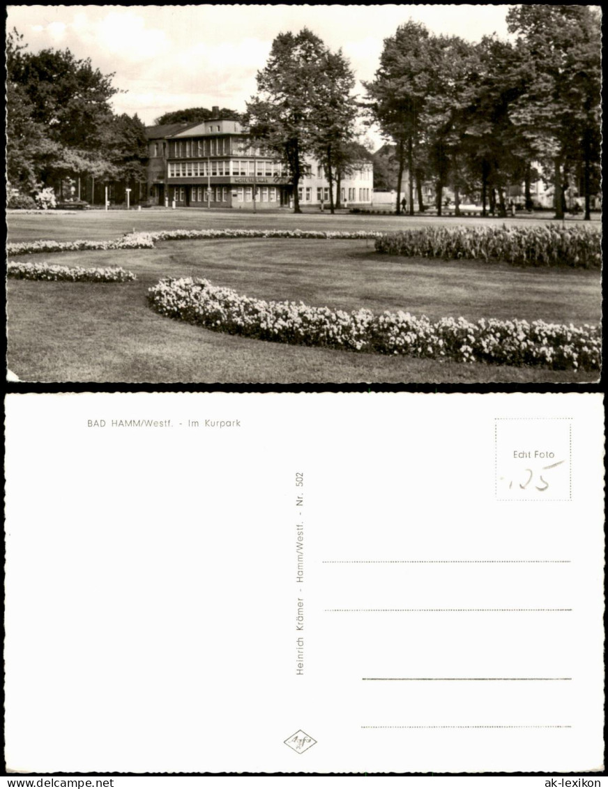 Ansichtskarte Hamm (Westfalen) Im Kurpark 1960