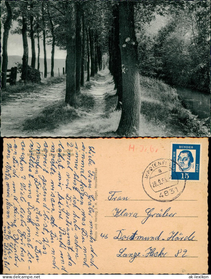 Ansichtskarte Harsewinkel Wanderweg an der Lutter 1963  b. Gütersloh