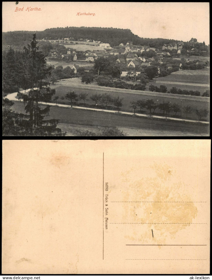 Ansichtskarte Hartha Panorama-Ansicht 1919