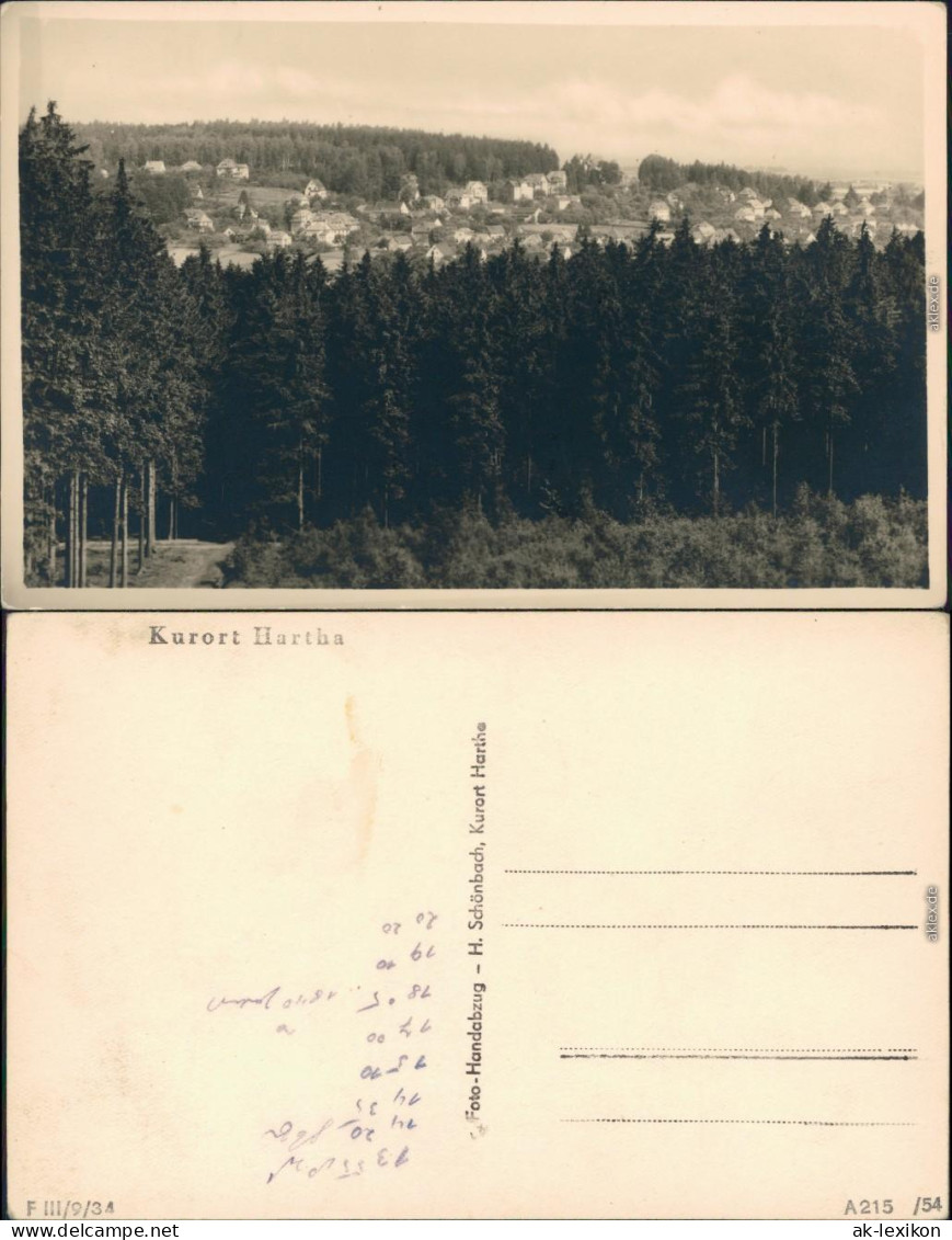 Ansichtskarte Hartha Panorama-Ansicht 1954