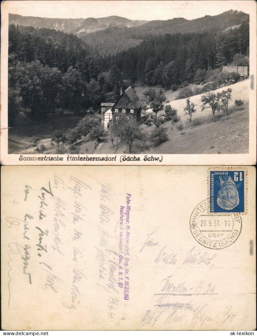 Ansichtskarte Hinterhermsdorf-Sebnitz Panorama-Ansicht 1951