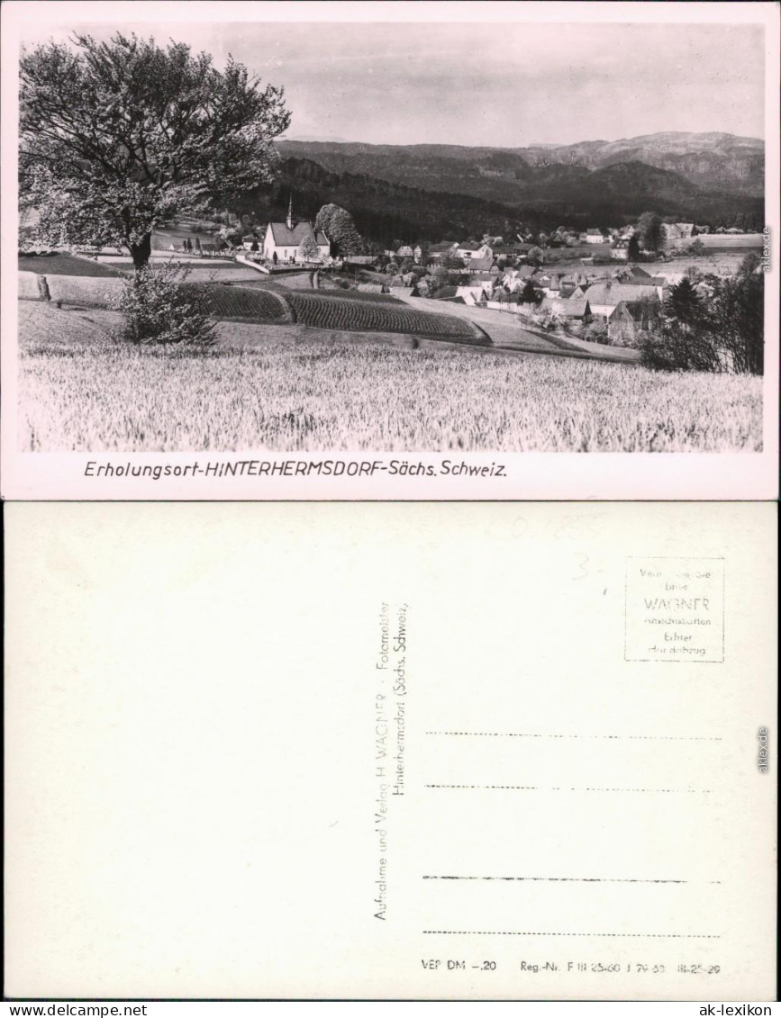 Ansichtskarte Hinterhermsdorf-Sebnitz Panorama-Ansicht 1963
