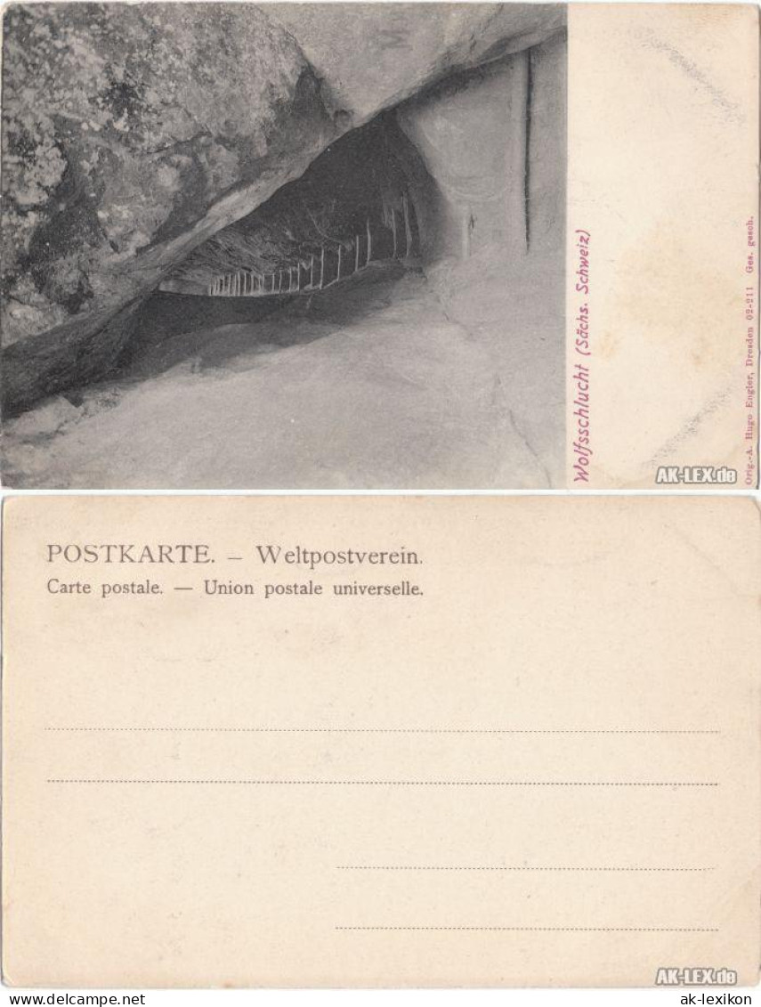 Ansichtskarte Hohnstein (Sächs. Schweiz) Wolfsschlucht, Sächs. Schweiz 1908