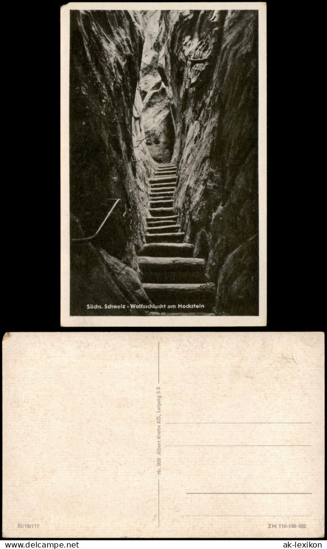 Ansichtskarte Hohnstein (Sächs. Schweiz) Wolfsschlucht, Sächs. Schweiz 1953
