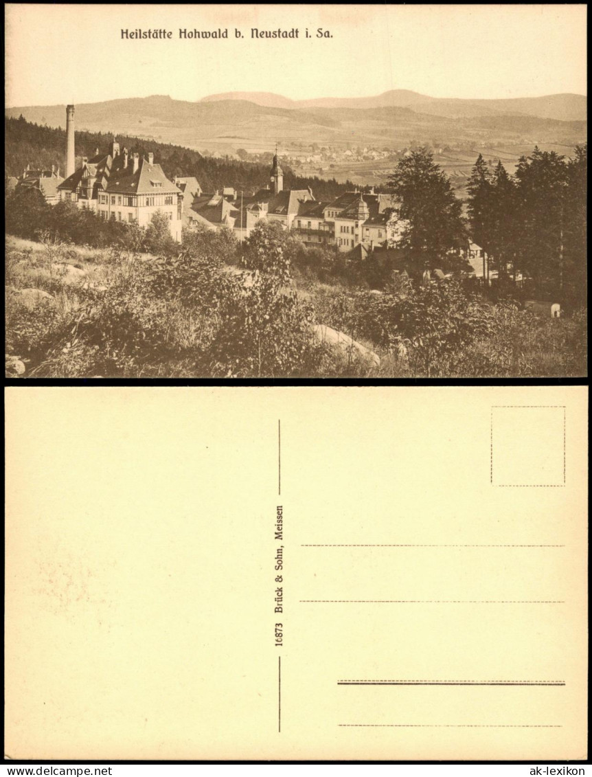 Ansichtskarte Hohwald (Sachsen) Heilstätte Hohwald - Fernsicht 1913