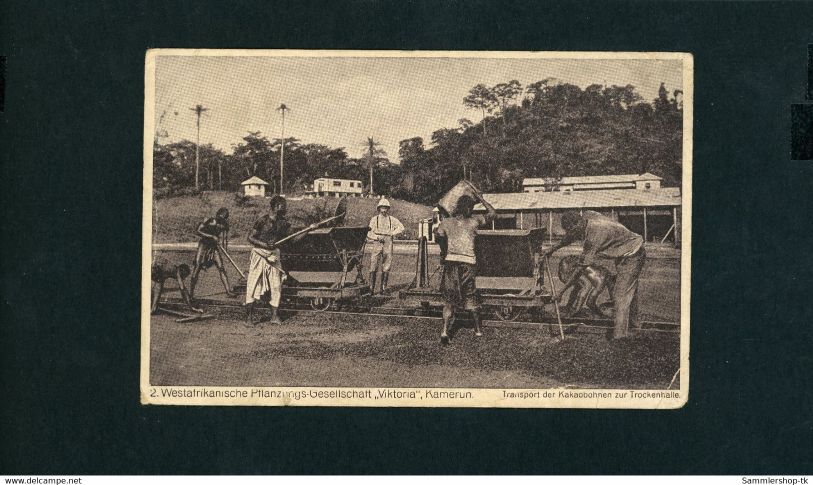Ansichtskarte Kamerun Pflanzungs Gesellschaft - gelaufen in Deutschland