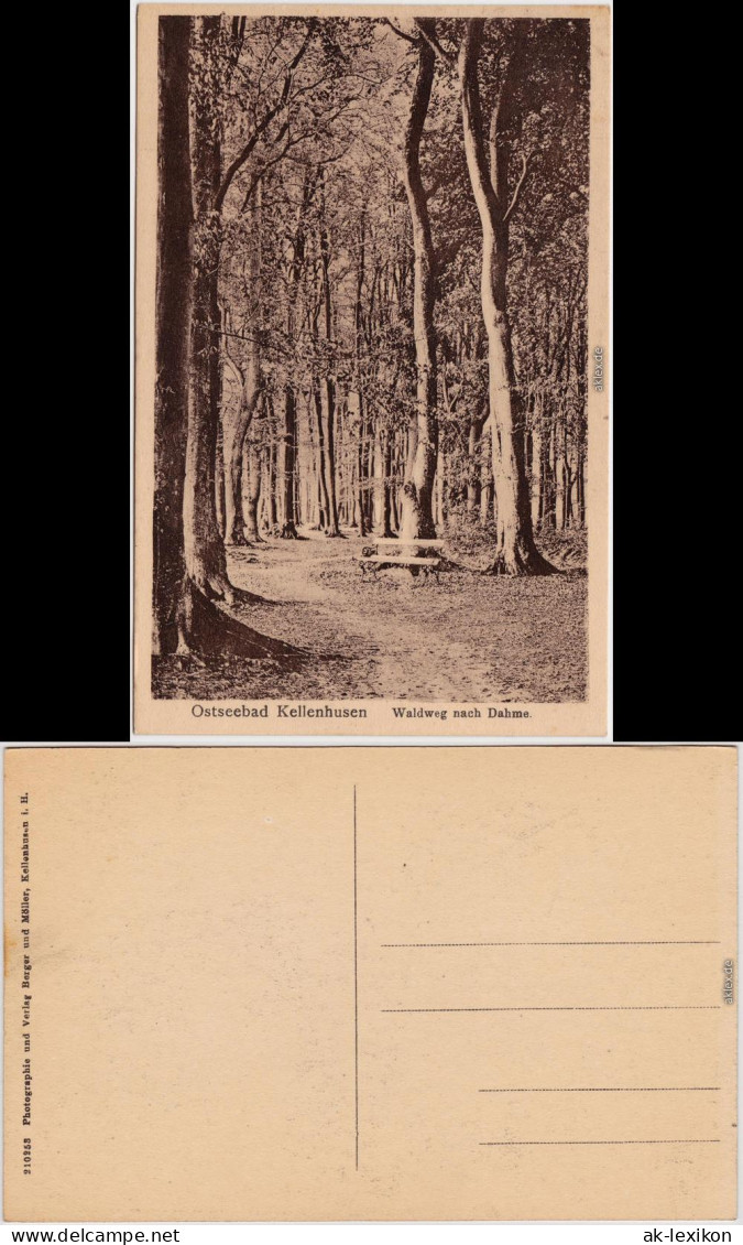 Ansichtskarte Kellenhusen (Ostsee) Waldweg nach Dame 1916