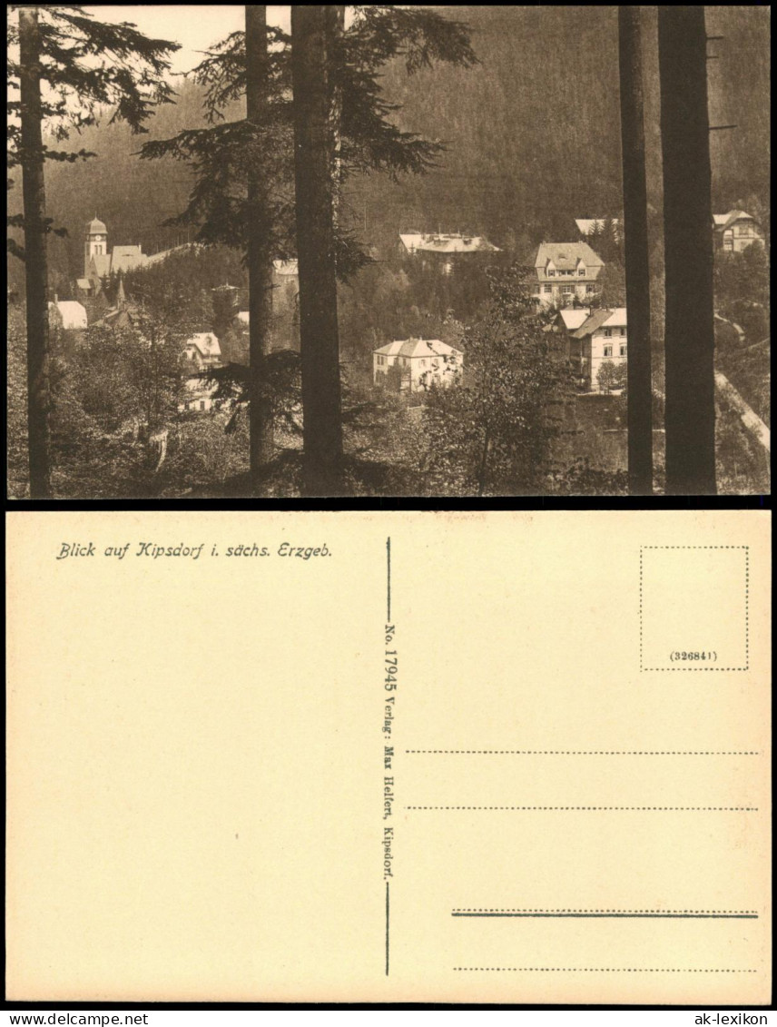 Ansichtskarte Kipsdorf-Altenberg (Erzgebirge) Panorama 1926