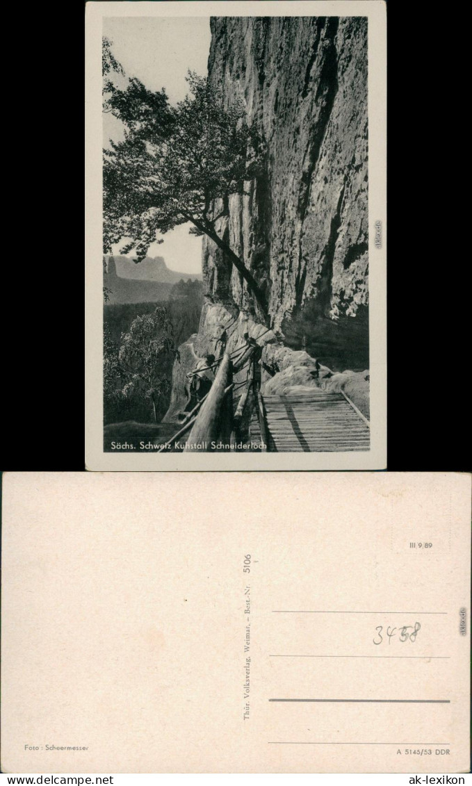 Ansichtskarte Kirnitzschtal Kuhstall, Schneiderloch 1953
