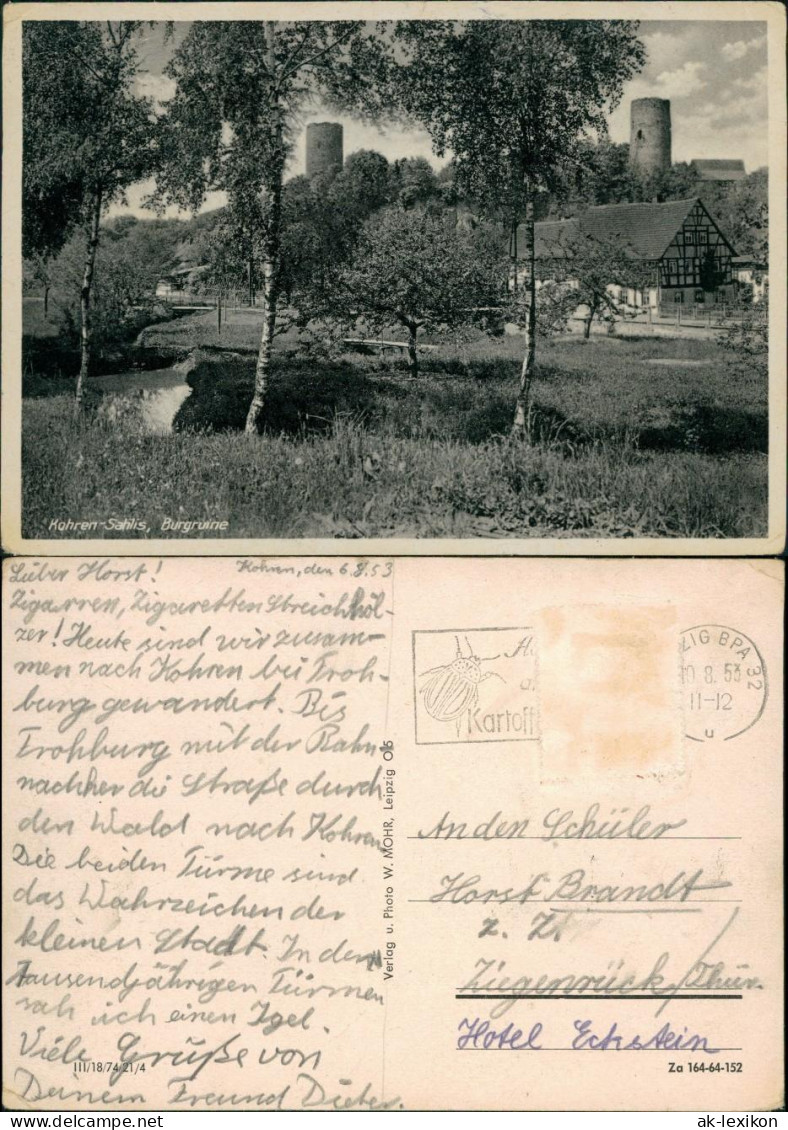 Ansichtskarte Kohren-Sahlis Burgruine 1953