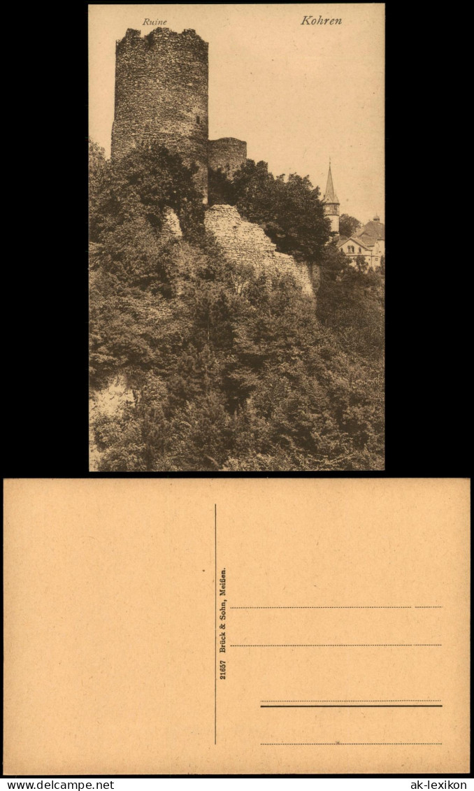 Ansichtskarte Kohren-Sahlis Burgruine Stadt 1920