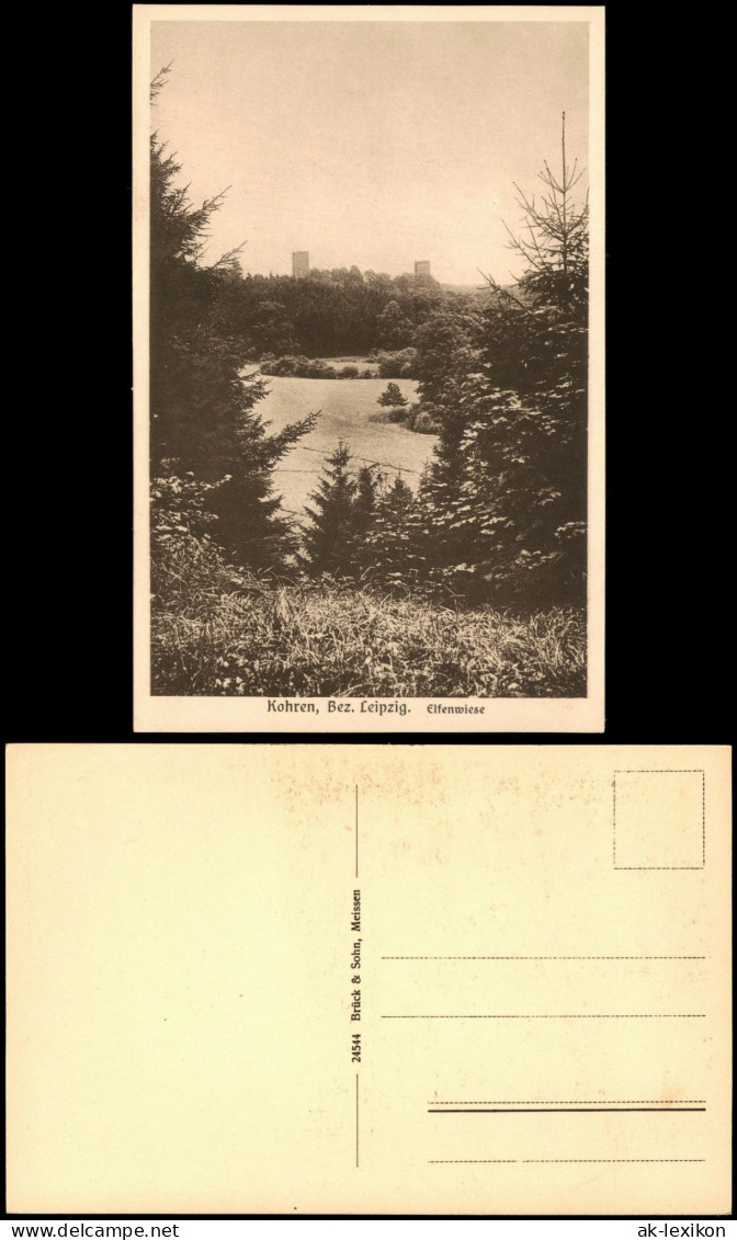 Ansichtskarte Kohren-Sahlis Elfenwiese 1928