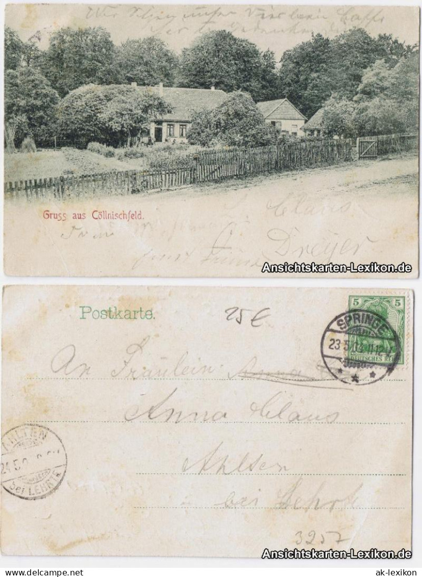 Ansichtskarte Köllnischfeld-Springe Panorama 1904