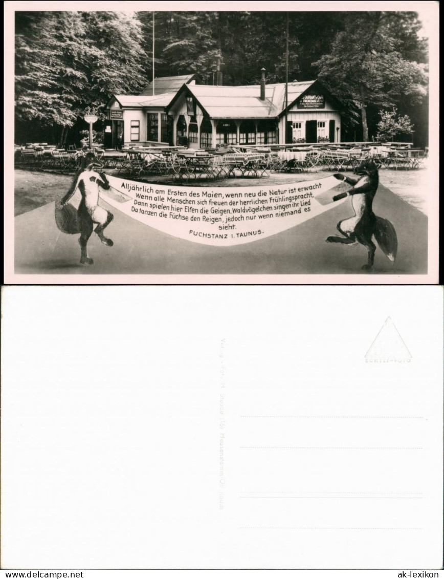 Ansichtskarte Königstein (Taunus) Fuchstanz Gasthaus Fotokunst 1932