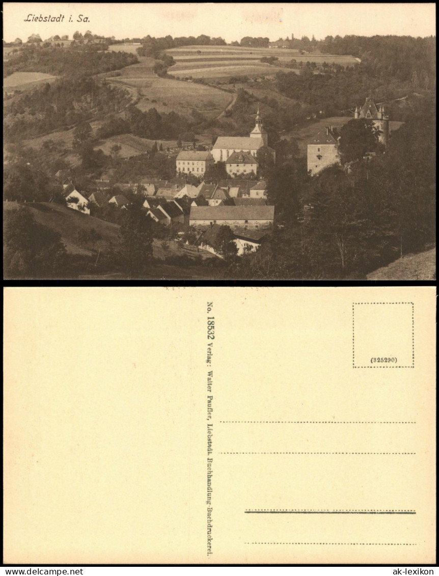 Ansichtskarte Liebstadt Stadtblick 1914