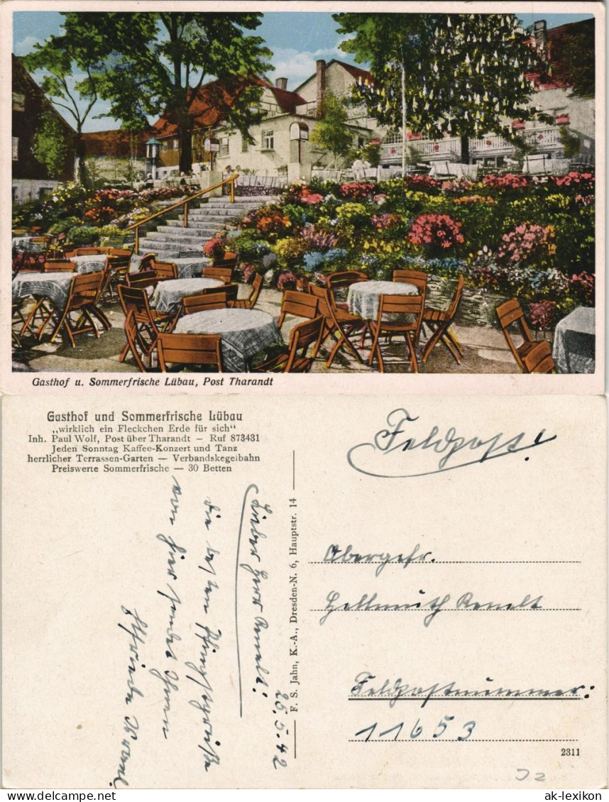 Ansichtskarte Lübau-Rabenau Gasthaus, Terrasse 1928