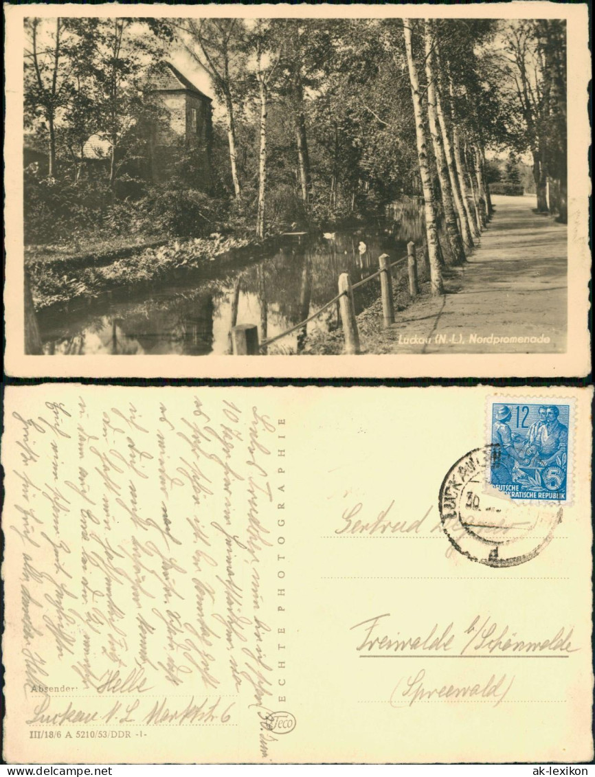 Ansichtskarte Luckau Łuków Nordpromenade - Fotokarte 1953