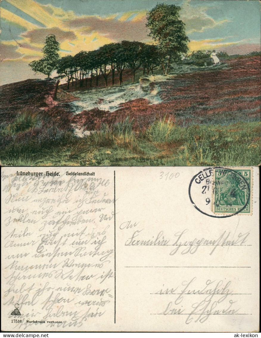 Ansichtskarte Lüneburger Heide Lüneburger Heide Heidelandschaft 1914 Bahnpost