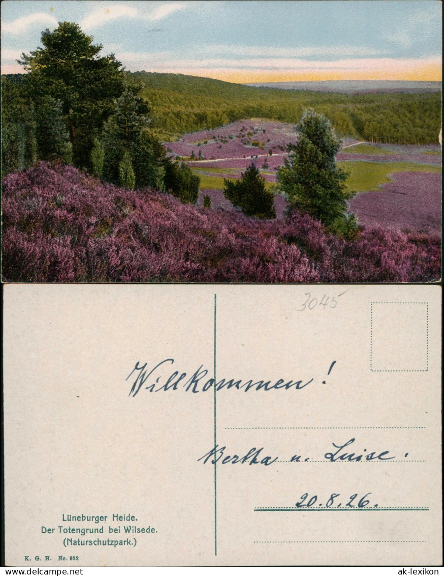 Ansichtskarte  Lüneburger Heide Photochromie Stimmungsbild 1926