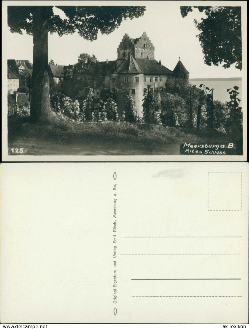 Ansichtskarte Meersburg Altes Schloß / Burg Meersburg Weinreben 1928