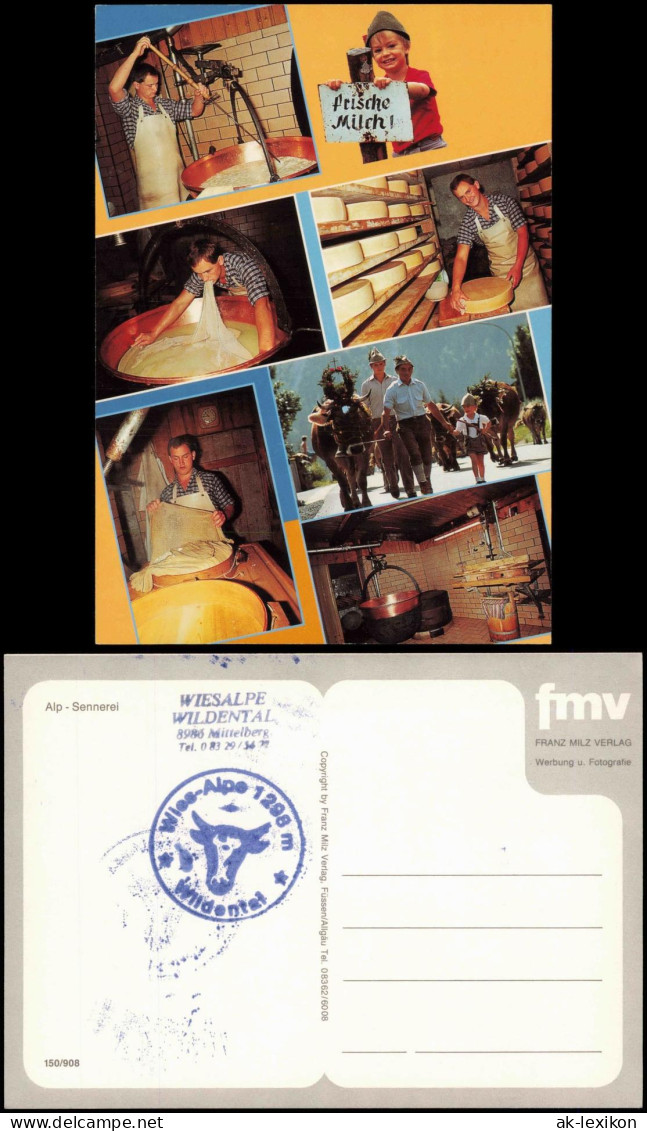 Ansichtskarte Mittelberg-Oy-Mittelberg MB: Alp Sennerei Wiesalpe Innen 1989