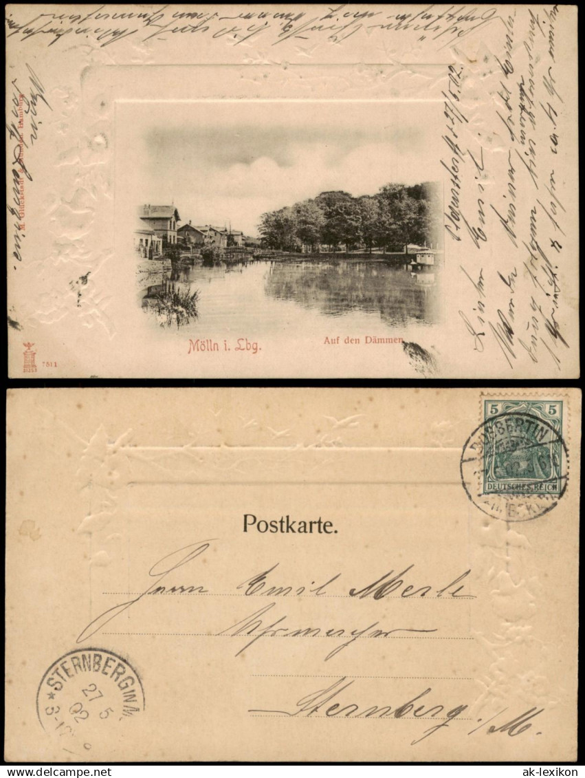Ansichtskarte Mölln (Schleswig-Holstein) Auf den Dämmen 1902 Prägekarte