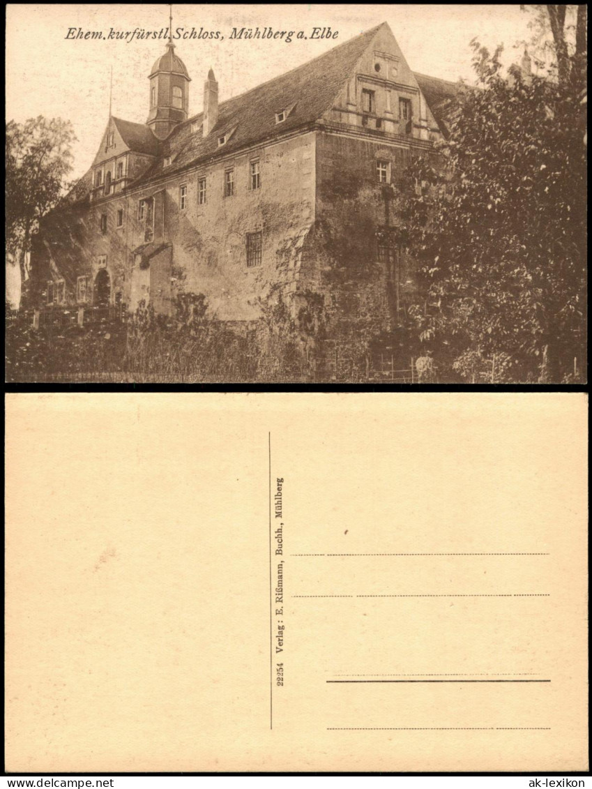 Ansichtskarte Mühlberg/Elbe Miłota Eingang zum Schloß 1912