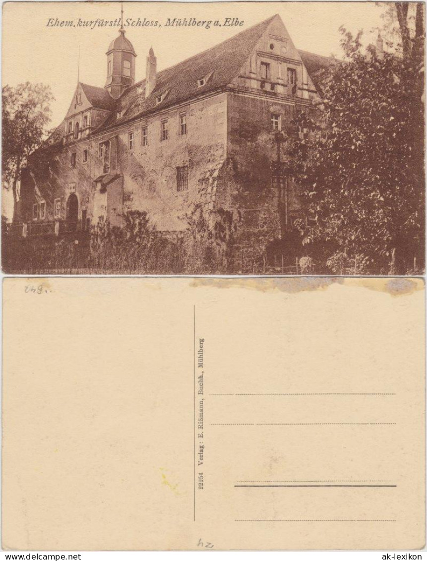 Ansichtskarte Mühlberg/Elbe Miłota Partie am Schloss 1922