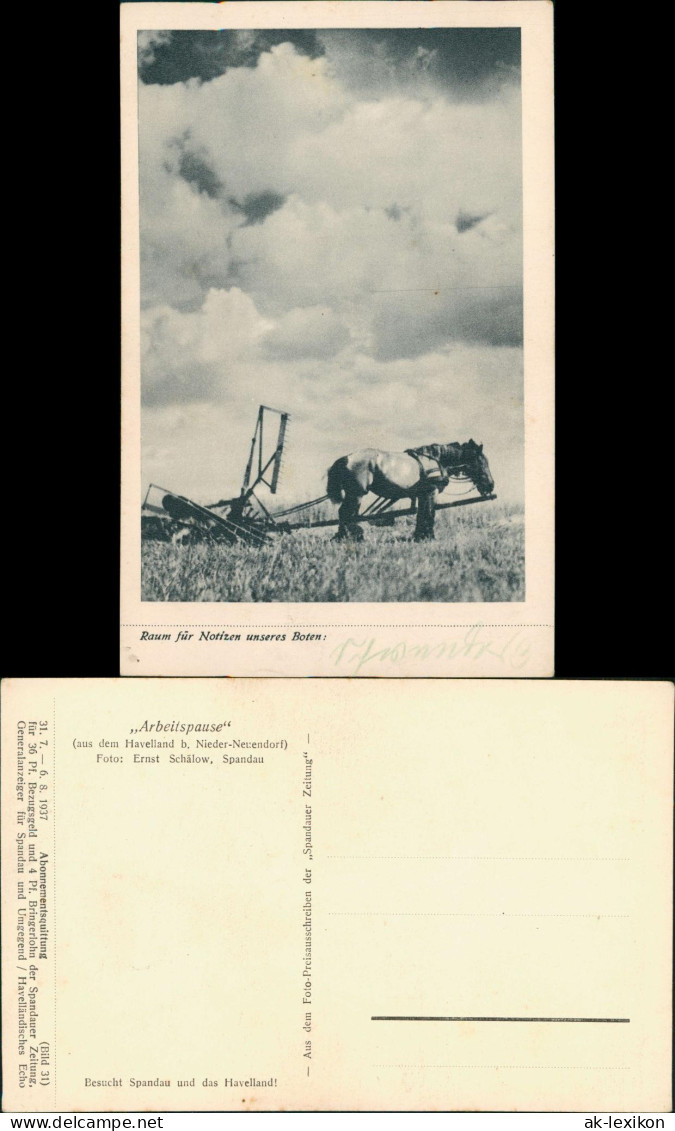 Ansichtskarte Nieder Neuendorf-Hennigsdorf Pferd zieht Pflug 1929