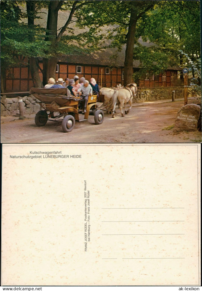 Ansichtskarte .Niedersachsen Kutschen-Fahrt Pferde Lüneburger Heide 1980