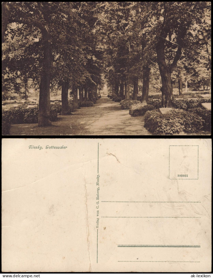 Ansichtskarte Niesky Oberlausitz Niska Gottesacker 1914