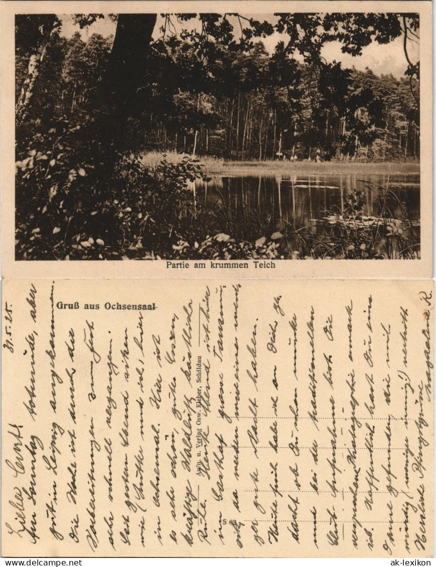 Ansichtskarte Ochsensaal-Dahlen Partie am krummen Teich 1919