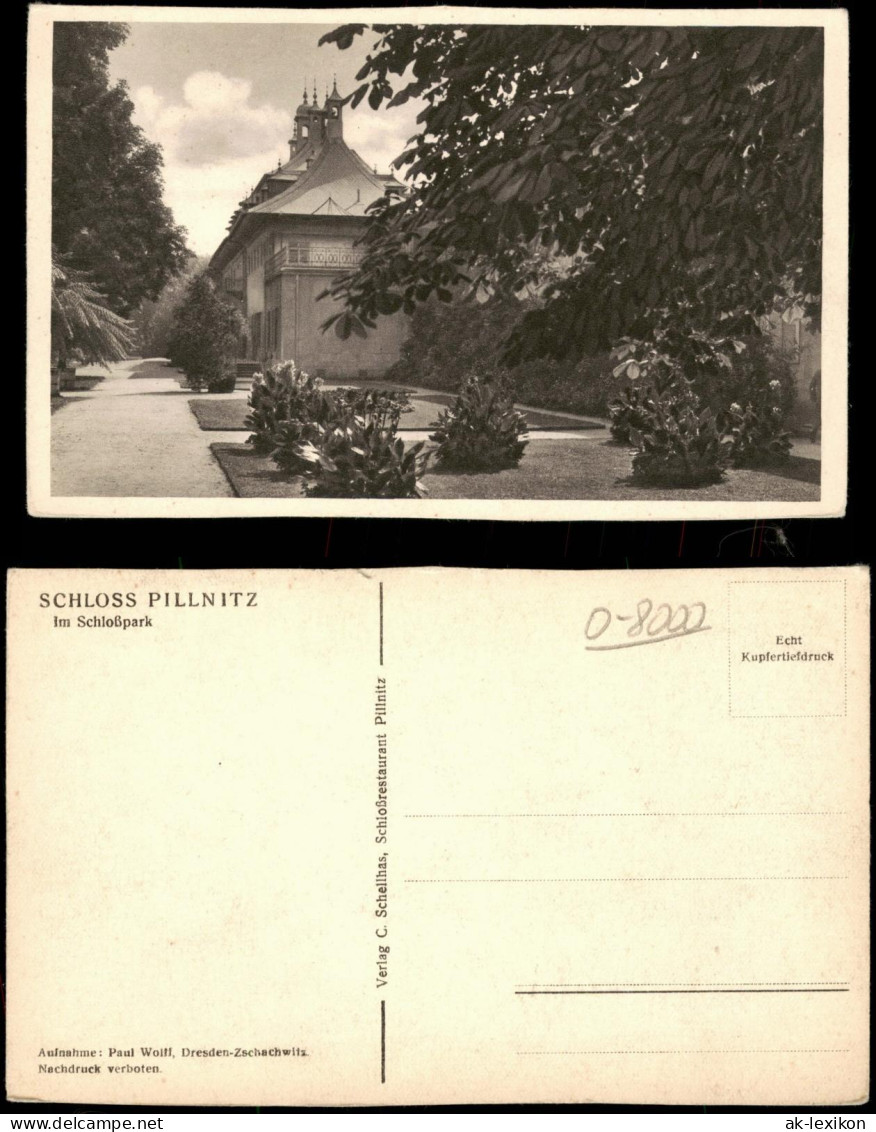 Ansichtskarte Pillnitz SCHLOSS PILLNITZ Partie im Schloßpark 1930