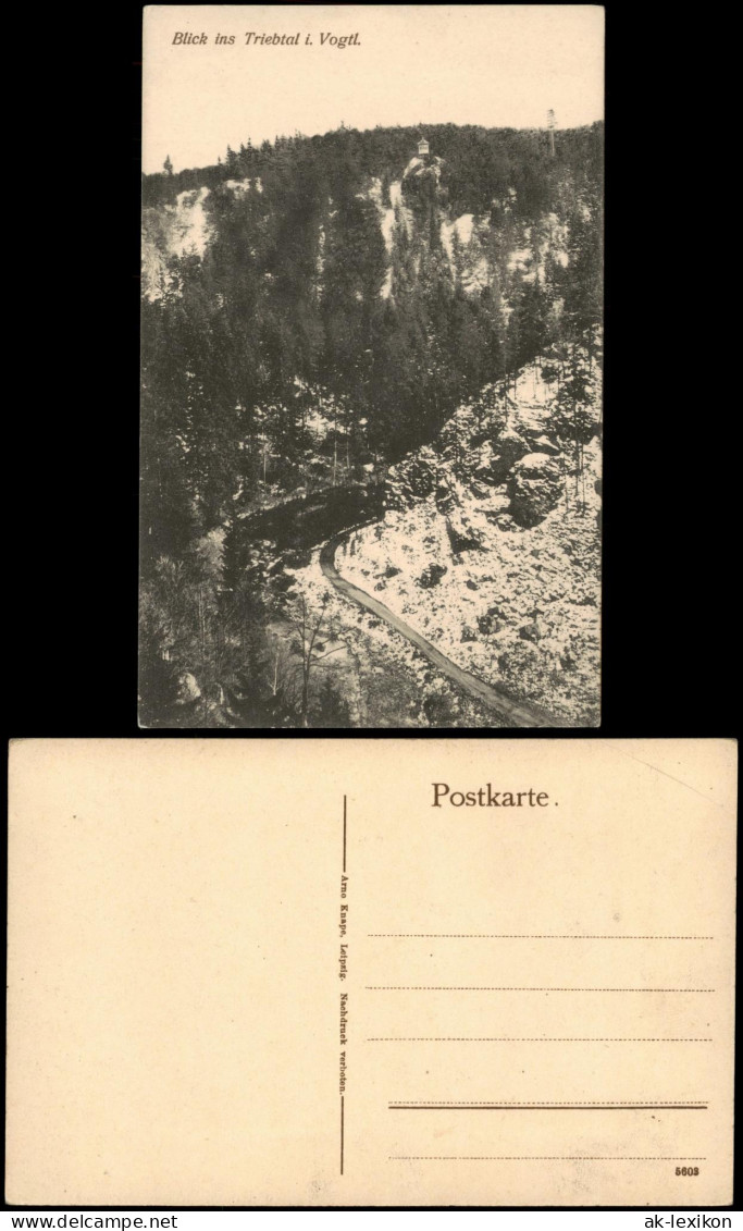 Ansichtskarte Pöhl Blick ins Triebtal i. Vogtland 1910