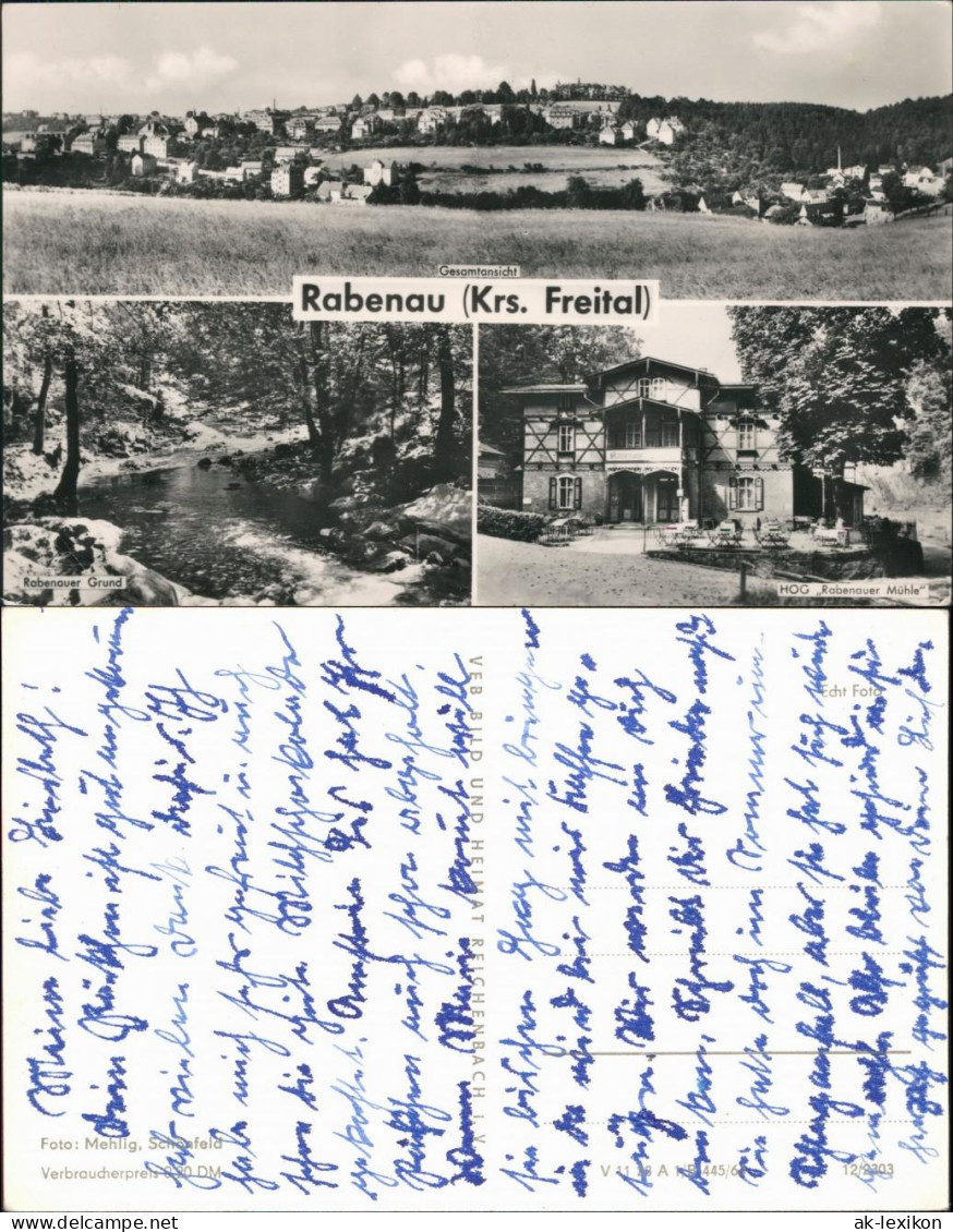 Ansichtskarte Rabenau Panorama, Rabenauer Grund, HOG Rabenauer Mühle 1964