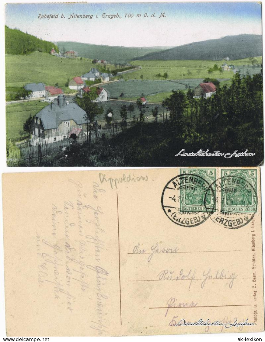 Ansichtskarte Rehefeld-Altenberg (Erzgebirge) Panorama 1919