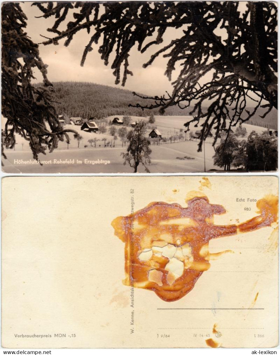 Ansichtskarte Rehefeld-Altenberg (Erzgebirge) Panorama 1964