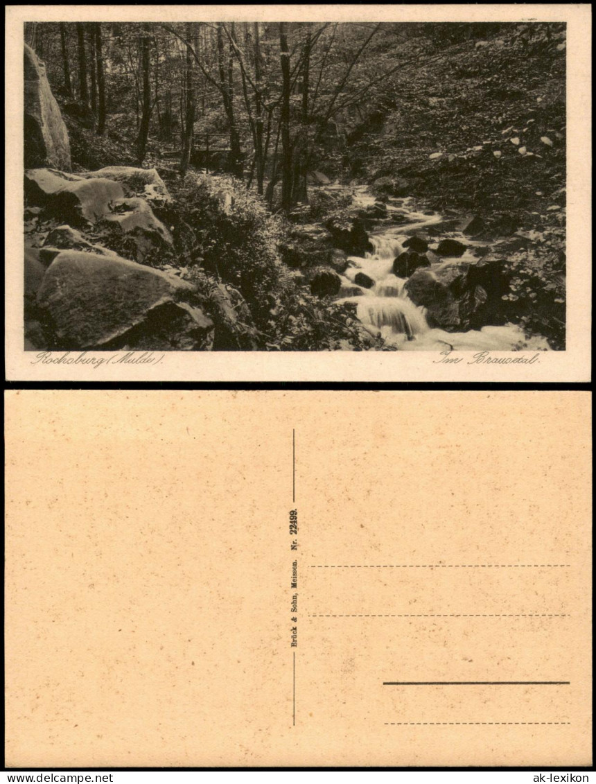 Ansichtskarte Rochsburg-Lunzenau Im Brausetal 1924