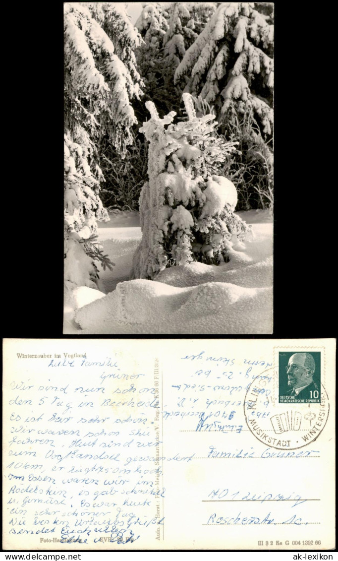 Ansichtskarte .Sachsen Sächsisches Vogtland Winterzauber im Vogtland 1966