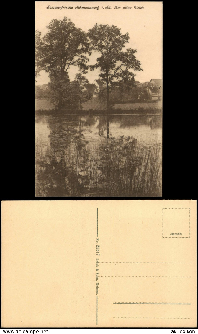 Ansichtskarte Schmannewitz-Dahlen Am alten Teich 1920